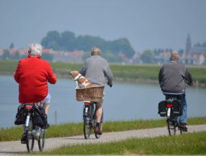 Three older people riding their bike at a park. 